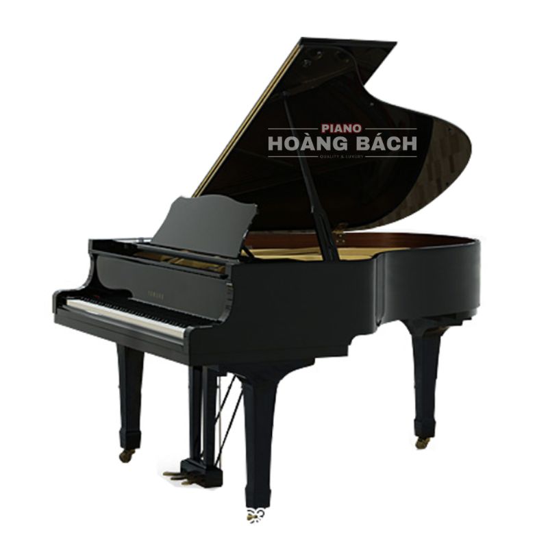 Yamaha C3B