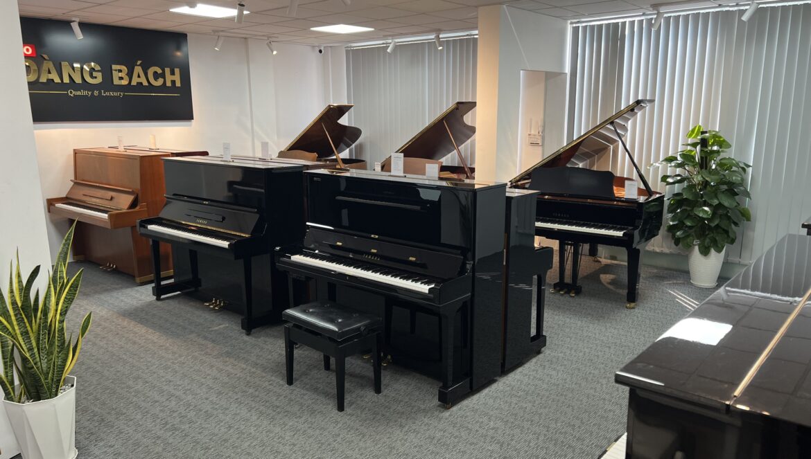Piano hoàng bách 01